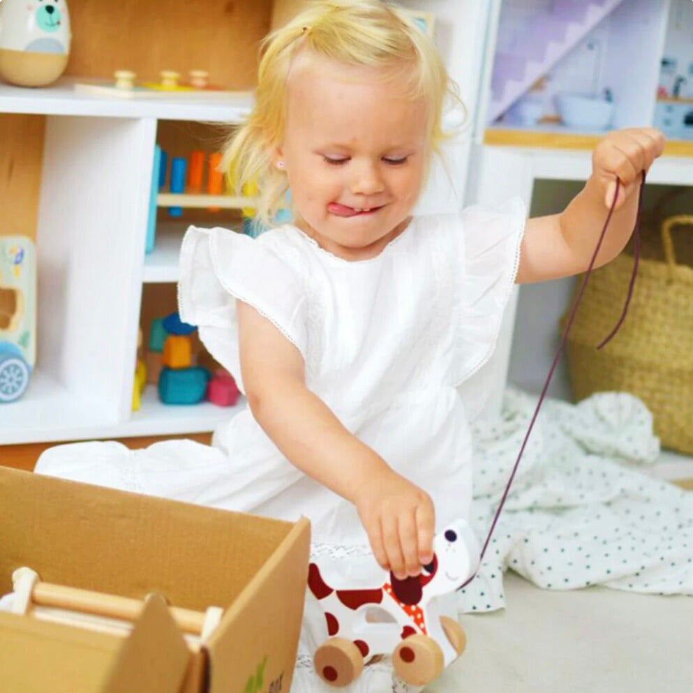 Montessori Toddlers Play Kit 19–24 måneder