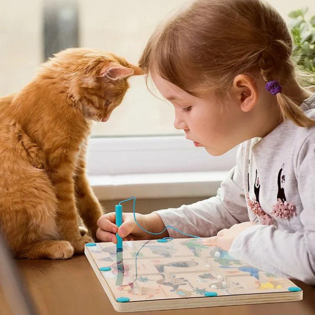 Toddlers Magnetic Dinosaur Maze - Explorez les Chiffres et les Couleurs