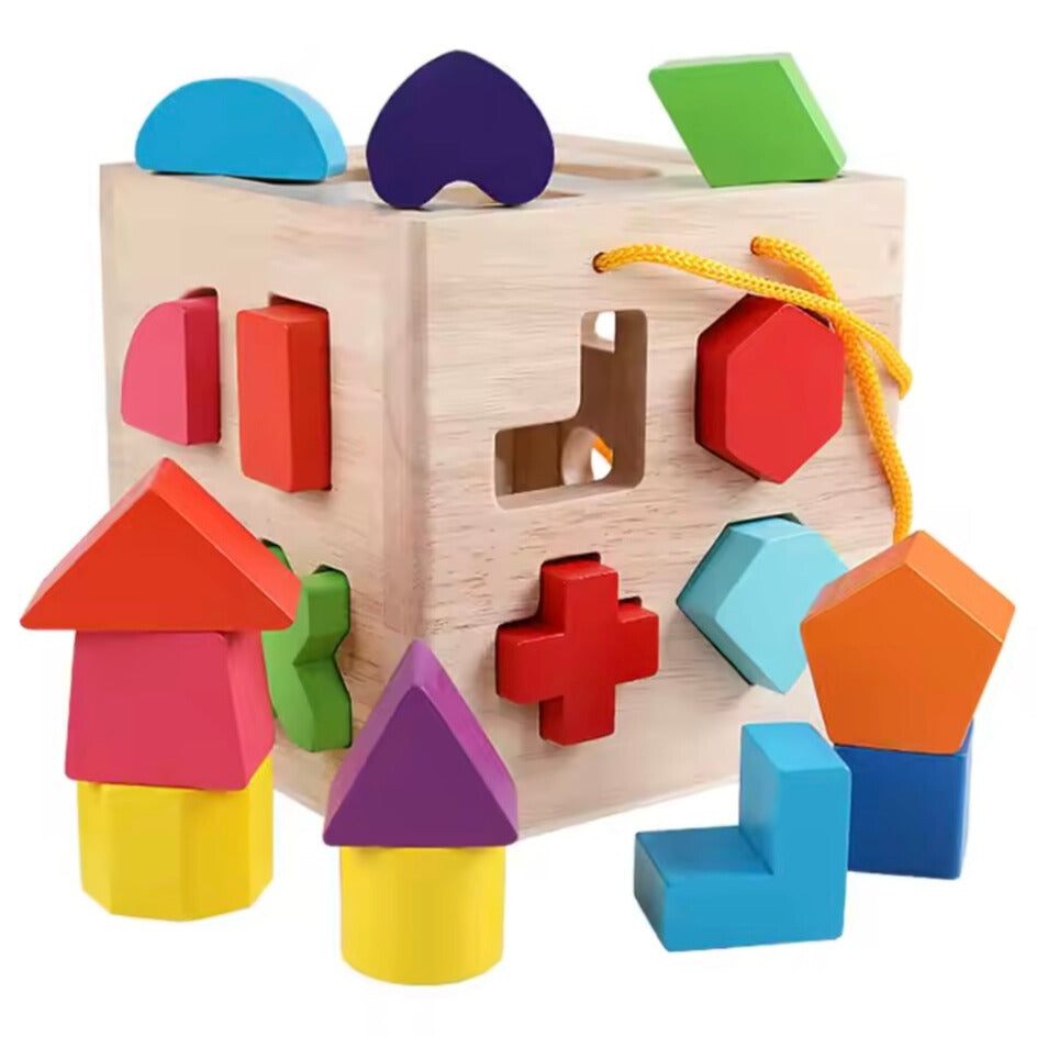 Toddlers Geometric Blocks