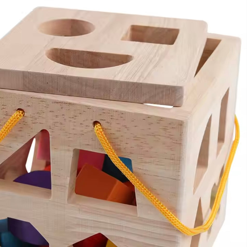 Toddlers Geometric Blocks