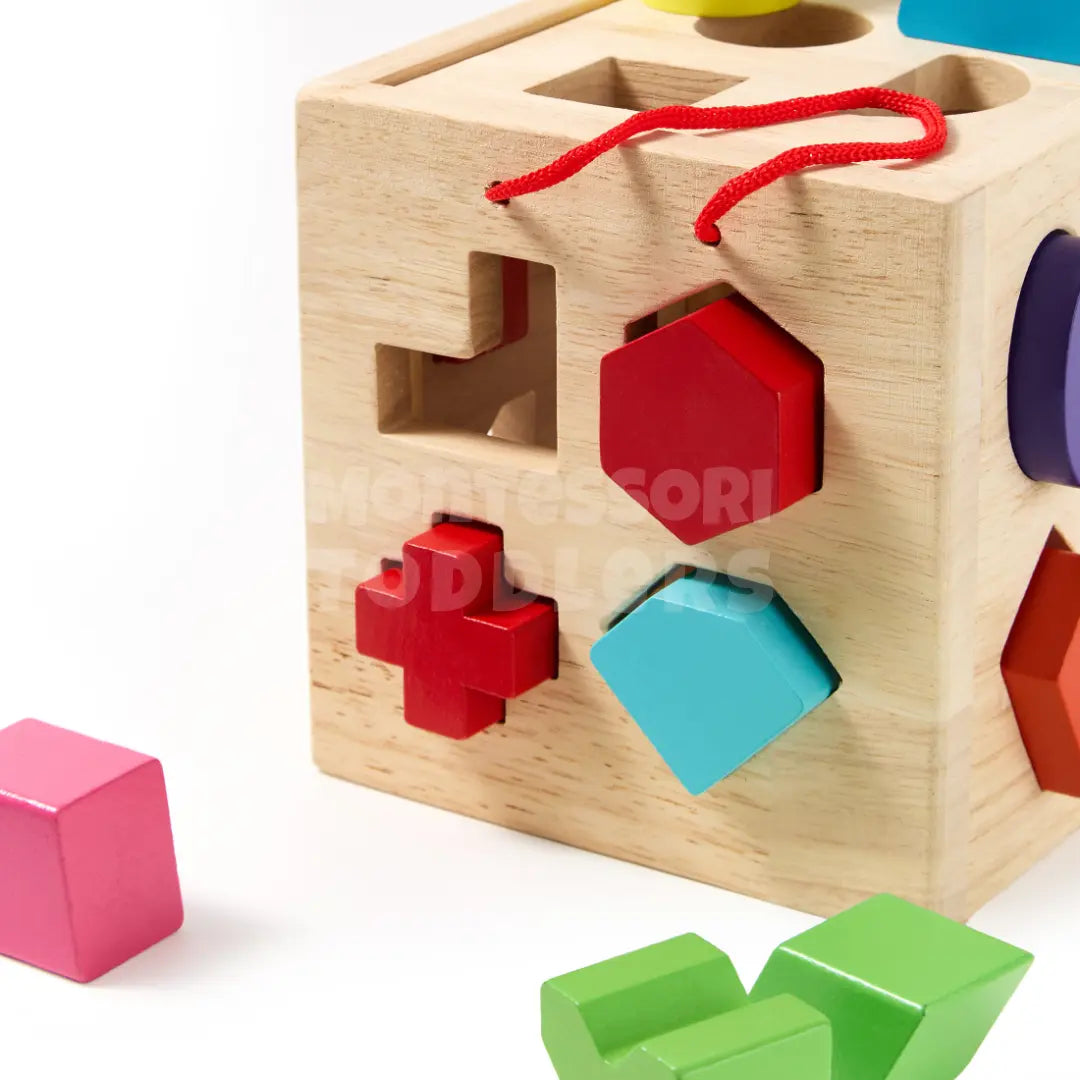 Toddlers Geometric Blocks