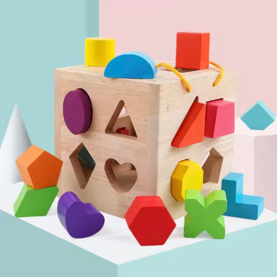Toddlers Geometric Blocks