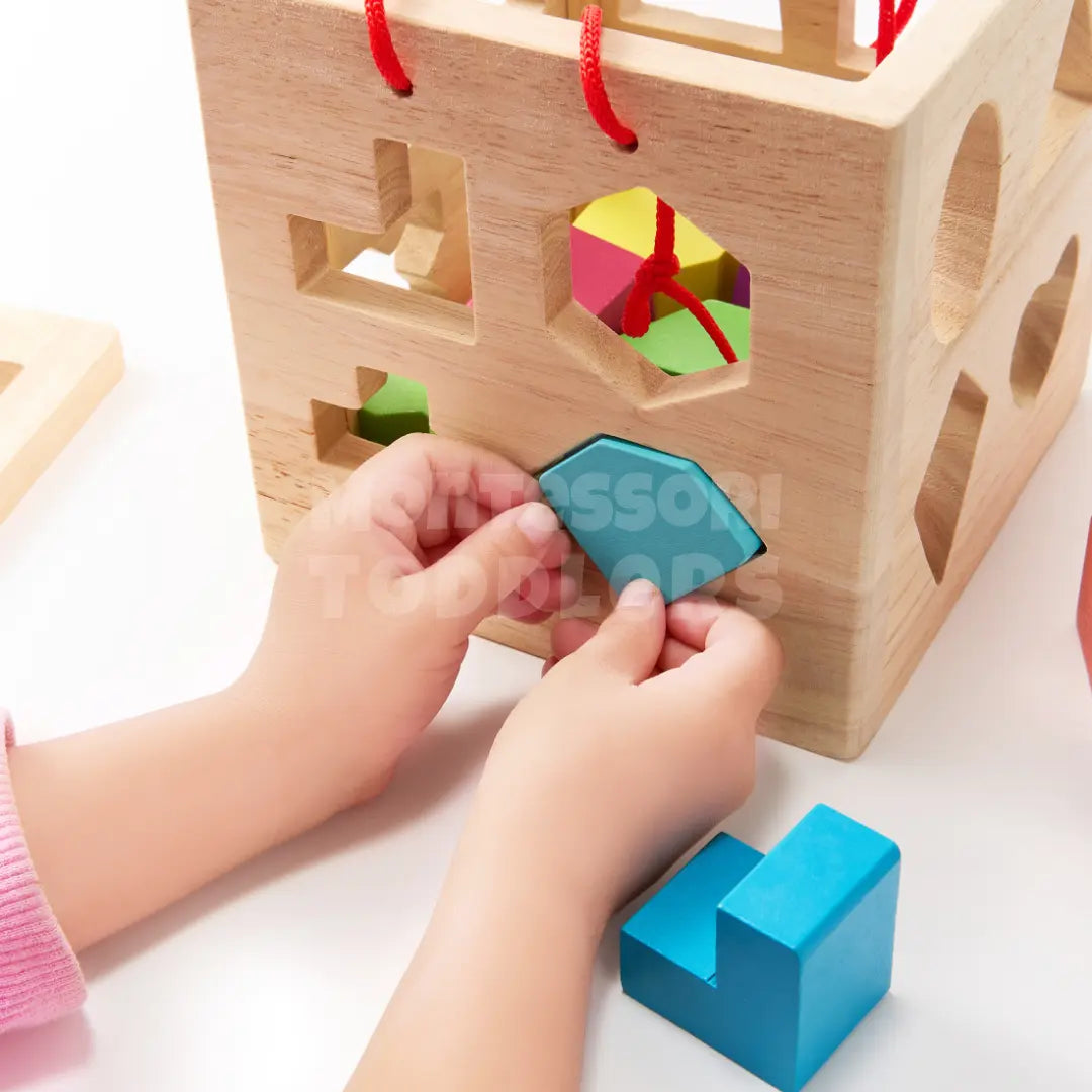 Toddlers Geometric Blocks