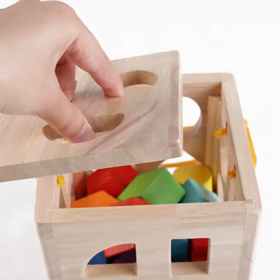 Toddlers Geometric Blocks