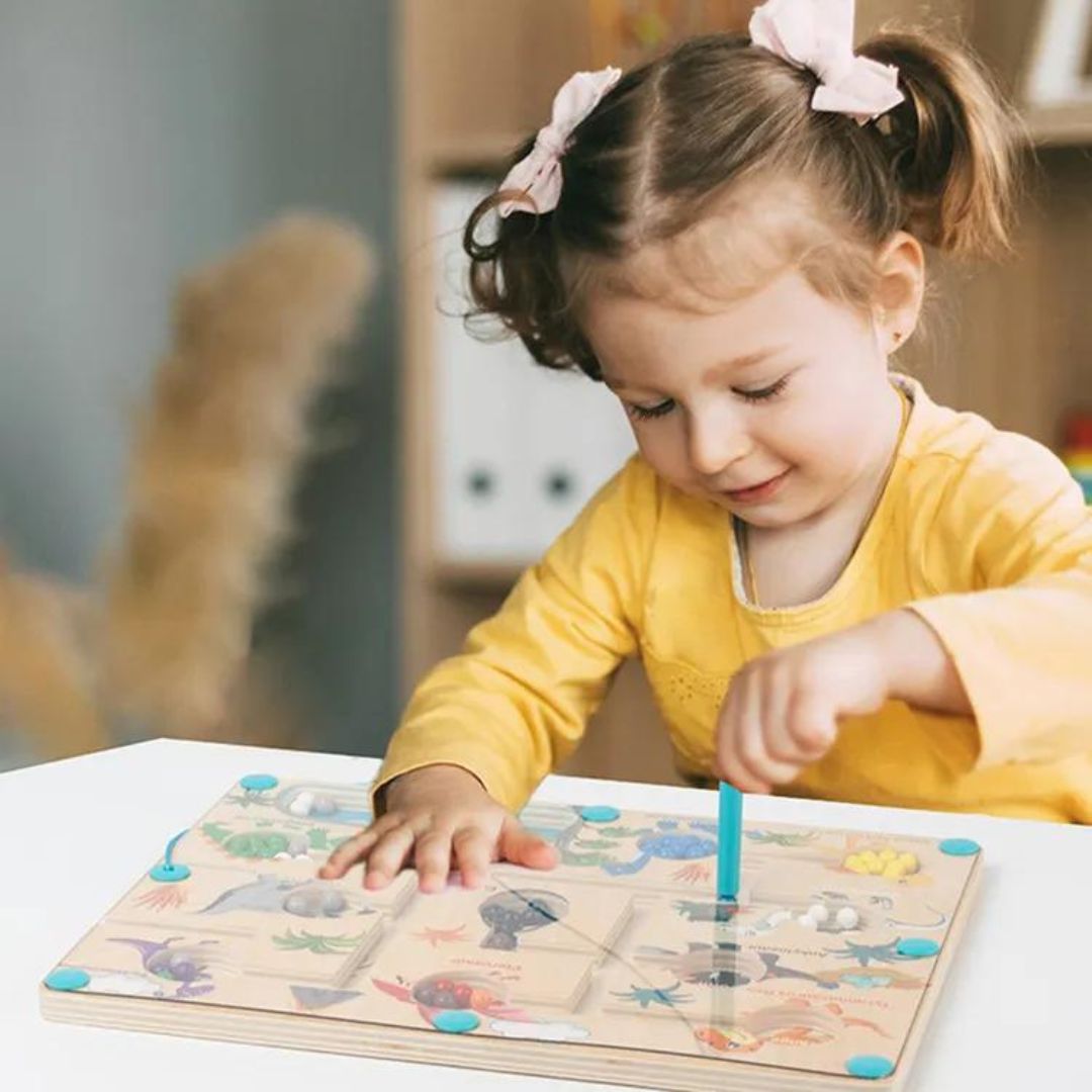 Toddlers Magnetic Dinosaur Maze – Lär dig räkna och sortera färger!