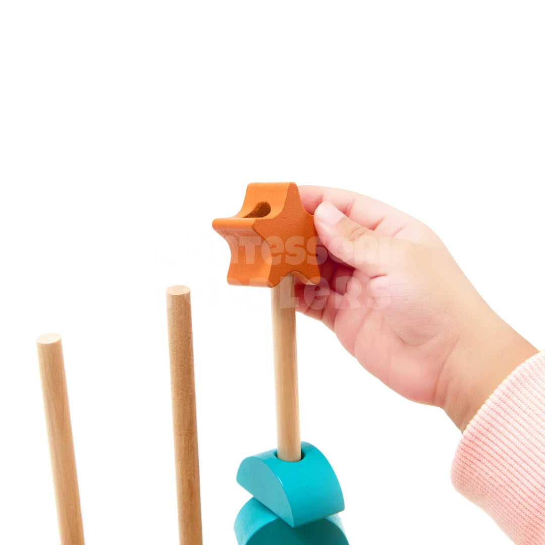 Toddlers Color Matching Blocks